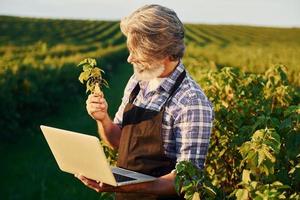 con la computadora portátil en las manos. hombre elegante senior con cabello gris y barba en el campo agrícola con cosecha foto