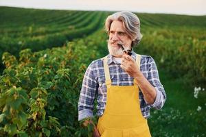 Standing and smoking. In yellow uniform. Senior stylish man with grey hair and beard on the agricultural field with harvest photo