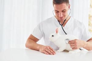 Uses stethoscope. Young veterinatian is indoors with little rabbit. Conception of healthcare photo