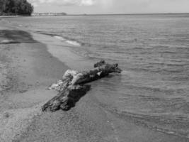 the baltic sea in poland photo