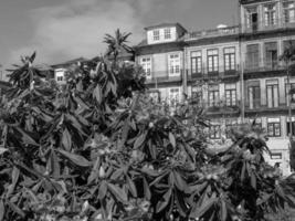 Porto at the douro river photo