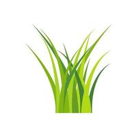 Grass vector isolated on white background