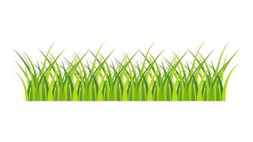 Grass banner vector isolated on white background