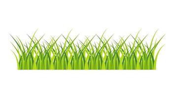 Grass banner vector isolated on white background