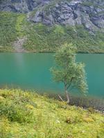 hermosos fiordos de noruega foto