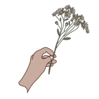 esthétique jolie main tenant un bouquet de fleurs bullet journal png