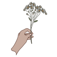 estética linda mano sosteniendo ramo de flores bullet journal png