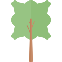 piatto albero natura estetico collezione impostato png