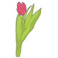 Aesthetic Cute Red Tulip Flowers Bullet Journal png