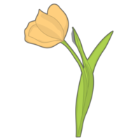 esthétique mignonne tulipe jaune fleurs bullet journal png