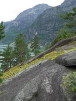 los fiordos de noruega foto