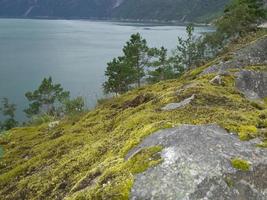 los fiordos de noruega foto