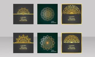 Luxury mandala design vector