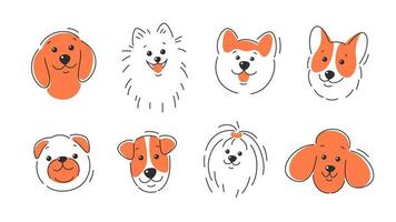 Set of dog faces of different breeds. Corgi, Akita, spitz , Dachshund, Poodle, Terrier, Pug. Vector illustration on white background