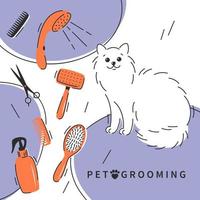 Pet care salon. Pet grooming. Cartoon cat character with different tools for animal hair grooming, haircuts, bathing, hygiene. Pet care salon concept.