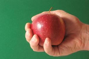 Apple on the Hand photo