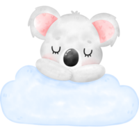 illustration de koala mignon png