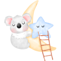 süße Koala-Illustration png