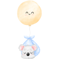 carino koala illustrazione png