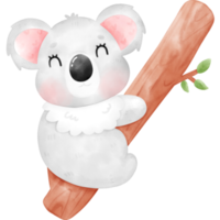 süße Koala-Illustration png