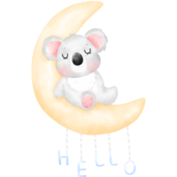 Cute Koala Illustration png