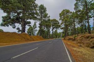 View of a road photo