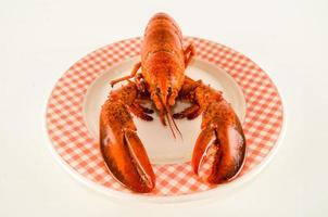 Lobster on a plate photo