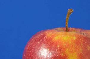 manzana roja aislada foto