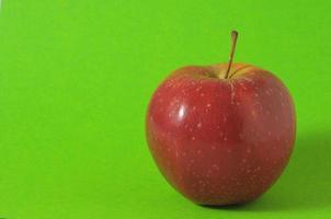 Isolated red apple photo