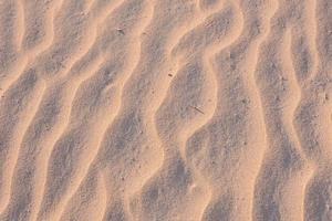 Sand dunes background photo