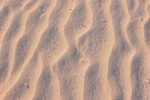 Beach sand close-up photo