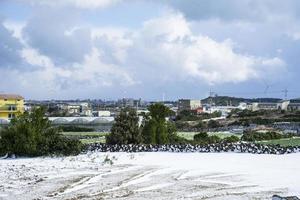 paisaje de la isla de jeju en corea foto