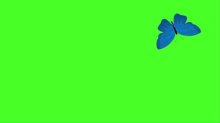 flying butterfly animation green screen Free Video 16735569 Stock Video at  Vecteezy