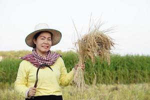 Happy Asian female farmer wear hat, Thai loincloth, holds sickle to harvest rice plants at paddy field. Concept, agriculture occupation, farmer grow organic rice.  Satisfied. photo
