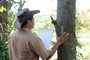 Handsome Asian man botanist is at forest to survey botanical plants, holds paper clipboard. Concept , Survey ,research botanical plants. Forest and environment conservation. photo