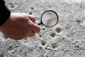 Closeup hand holds magnifying glass to explore tiny insects in holes on ground. Concept, examine, explore, research nature or biological organisms. Study about insects behavior. Science tool. photo