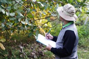 un botánico asiático está en el bosque para estudiar plantas botánicas, sostiene un portapapeles. concepto, encuesta, investigación de plantas botánicas. conservación de los bosques y el medio ambiente. foto