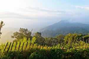 Viewpoint Doi Ang Khang mountains in Chiang Mai province of Thailand photo