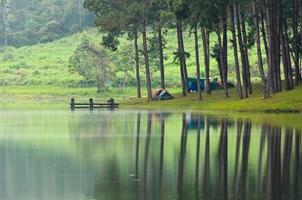 camping de ambiente matutino en un lago en el bosque de pinos foto
