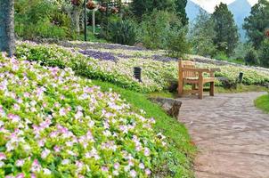 Chair in the flower garden photo