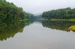 Nature landscape at dawn of lakes and pine forests photo