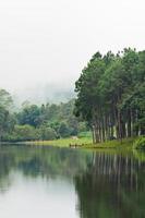 Nature landscape at morning of lakes and pine forests photo