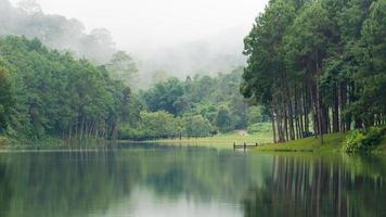 Nature landscape at morning of lakes and pine forests photo