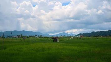 a cabin in the middle of a beautiful rice field with a cloudy sky photo