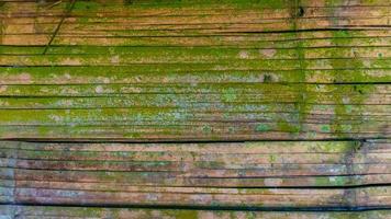 mossy bamboo wall texture as a background photo