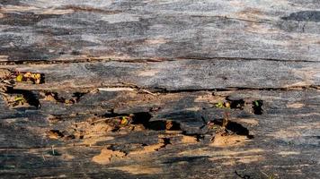 old wood texture as a background photo