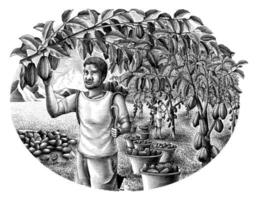 Farmer with cocoa hand drawing engraving style clip art vector