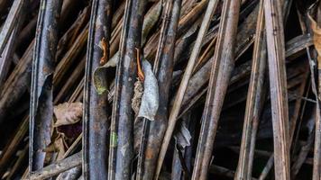 dry palm leaves texture as background photo