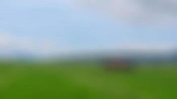 defocused cabin in the middle of the rice fields surrounded by hills photo