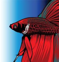 pez betta rojo vector